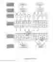 Fig. 03 - AN ASSAY FOR QUANTITATING THE EXTENT OF METHYLATION OF A TARGET SITE