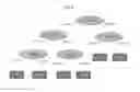Fig. 10 - Radiation biodosimetry systems