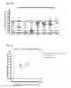 Fig. 03 - Methods for determining response to a hypomethylating agent