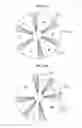 Fig. 15 - Substrate Processing Apparatus, Gas Introduction Shaft and Gas Supply Plate