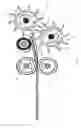 Fig. 02 - Fibrous plant stalk decorticator