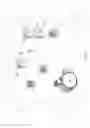 Fig. 12 - Fibrous plant stalk decorticator