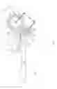 Fig. 15 - Fibrous plant stalk decorticator