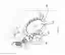 Fig. 18 - Fibrous plant stalk decorticator