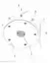 Fig. 22 - Fibrous plant stalk decorticator