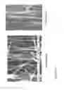 Fig. 104 - Fabrication of nanofiber ribbons and sheets