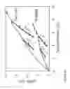 Fig. 11 - Fabrication of nanofiber ribbons and sheets