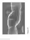 Fig. 13 - Fabrication of nanofiber ribbons and sheets