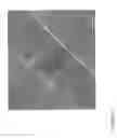 Fig. 28 - Fabrication of nanofiber ribbons and sheets