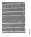 Fig. 43 - Fabrication of nanofiber ribbons and sheets