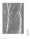 Fig. 59 - Fabrication of nanofiber ribbons and sheets