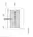 Fig. 68 - Fabrication of nanofiber ribbons and sheets