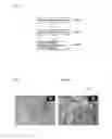 Fig. 04 - Composite material and molded article