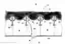Fig. 01 - Insulation retention apparatus for use with overhead structural beams and related methods