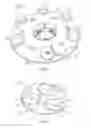 Fig. 03 - Method for finishing a composite surface and a grounting pan for finishing a composite surface