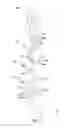 Fig. 04 - Hinge structure