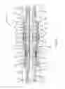 Fig. 04 - Independent modification of drill string portion rotational speed