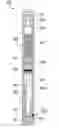 Fig. 01 - In situ pump for downhole applications