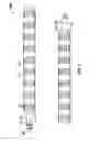 Fig. 03 - Downhole tool string buoyancy apparatus