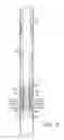 Fig. 03 - Thermal compensating tubing anchor for a pumpjack well
