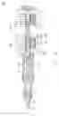 Fig. 14 - MULTI-STAGE BLOWOUT PREVENTER AND METHOD OF USING SAME