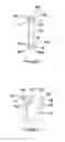 Fig. 03 - Packer and associated methods, seal ring and fixing ring
