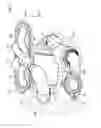 Fig. 08 - Exhaust device of multi-cylinder engine