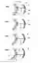 Fig. 08 - COOLANT CIRCULATION PUMP HAVING THERMAL CONTROL OF SUB-CIRCUITS
