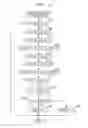 Fig. 13 - Control apparatus for internal combustion engine