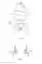 Fig. 04 - Vaporized fuel processing apparatus