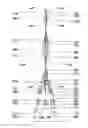 Fig. 37 - Apparatus and Method to Utilize Wind Power to Generate Electricity