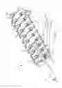 Fig. 06 - Elastic motor-spring actuator
