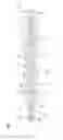Fig. 04 - Multi-cylinder assembly