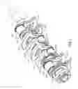 Fig. 02 - Core for cast crankshaft
