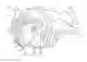Fig. 01 - DIFFERENTIAL HOUSING COVER AND ASSEMBLY