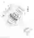 Fig. 04 - DIFFERENTIAL HOUSING COVER AND ASSEMBLY