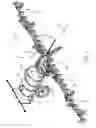 Fig. 02 - Sealing element for a hydraulic fitting