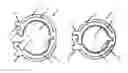 Fig. 01 - Connection system for connecting PEX tubing to a fitting which includes a clamp