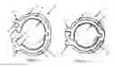 Fig. 02 - Connection system for connecting PEX tubing to a fitting which includes a clamp