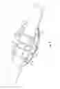 Fig. 06 - Fire hose girdle