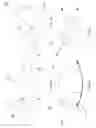 Fig. 07 - Fire hose girdle