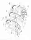 Fig. 05 - Vehicle lamp