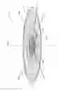 Fig. 06 - Vehicle lamp