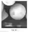 Fig. 17 - Encapsulated quantum dots in porous particles