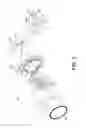 Fig. 03 - Low-profile lighting device and attachment members and kit comprising same