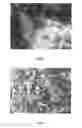 Fig. 02 - Methods for producing silicon carbide whisker-reinforced refractory composition
