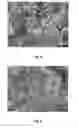 Fig. 04 - Methods for producing silicon carbide whisker-reinforced refractory composition