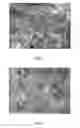 Fig. 05 - Methods for producing silicon carbide whisker-reinforced refractory composition