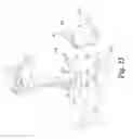Fig. 20 - Electronic firearm