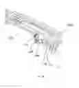 Fig. 34 - Conversion kit with a rail system for a paintball marker having a hinged portion